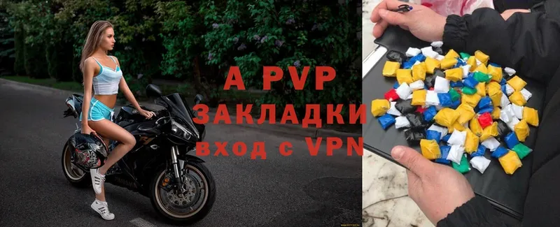 A-PVP СК КРИС  kraken ссылки  Западная Двина 