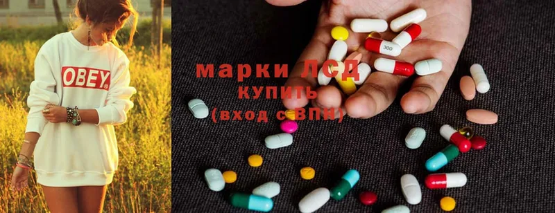 где можно купить наркотик  Западная Двина  KRAKEN как зайти  LSD-25 экстази кислота 